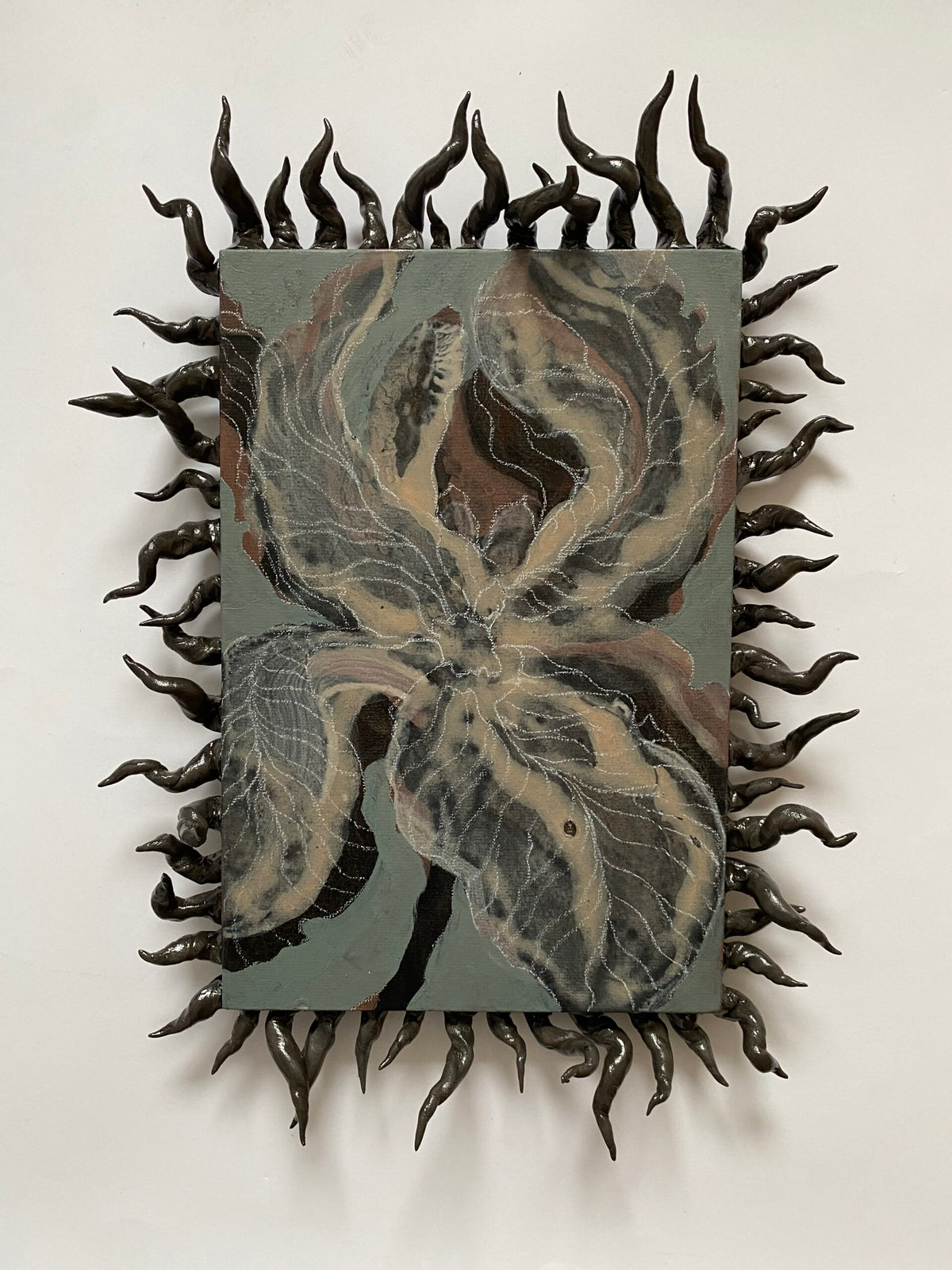 No. 136 - Irys ciernisty (jestem wiatrem północy), 40x30 cm